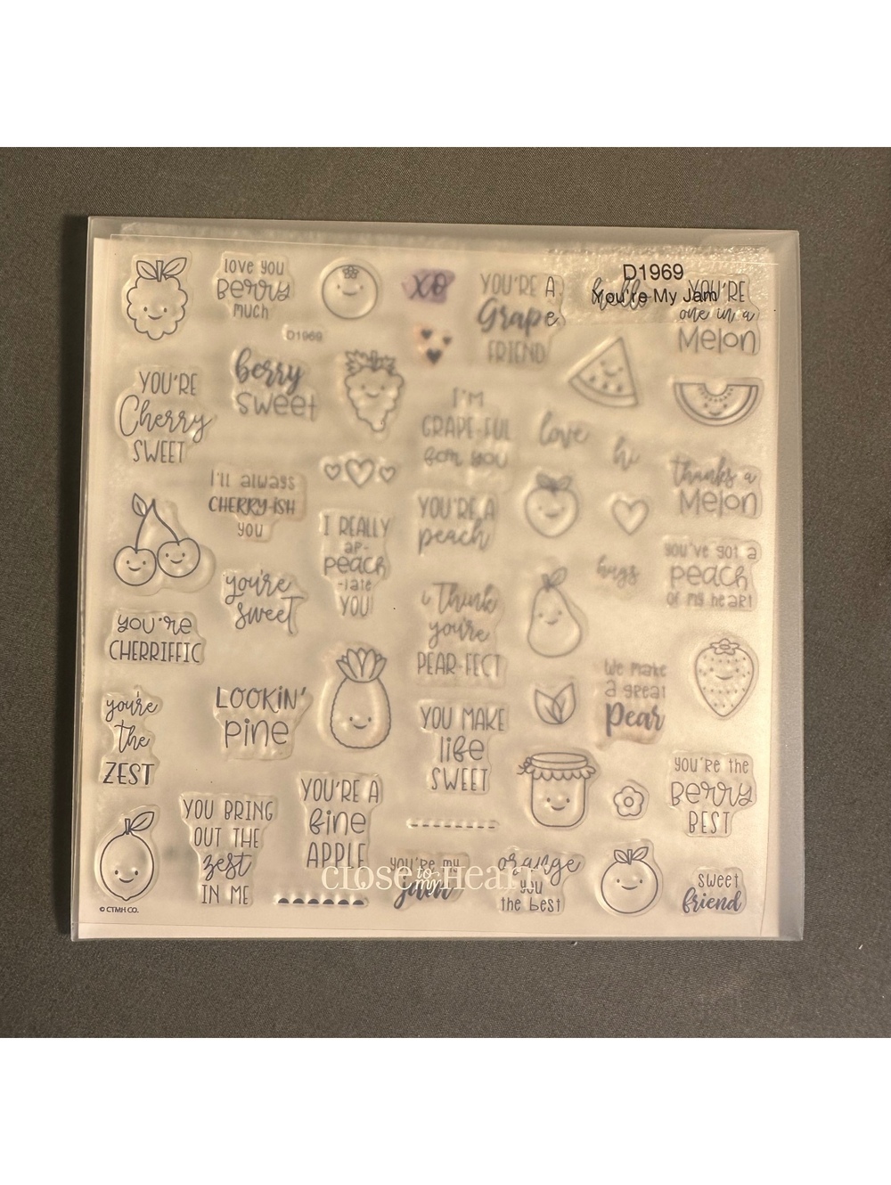 Close To My Heart D1669 You're My Jam Acrylic Stamp Set